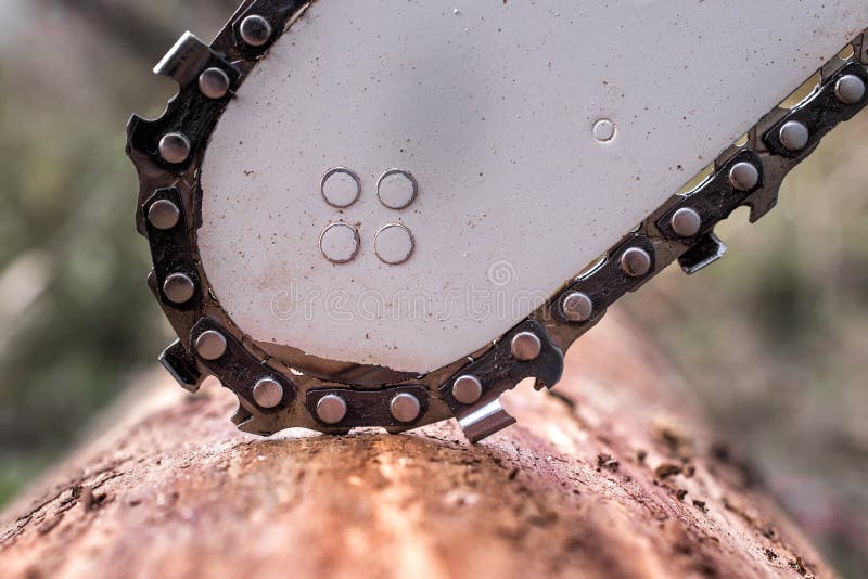 Chainsaw Blade Cutting Log of Wood Stock Photo Image of construction