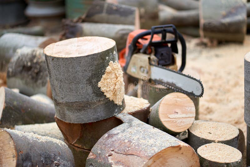 Chainsaw and bucked logs stock image. Image of sawing 168140603