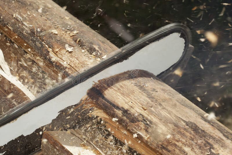 Chainsaw Cutting through Wood. Stock Photo Image of view, fire 14449944