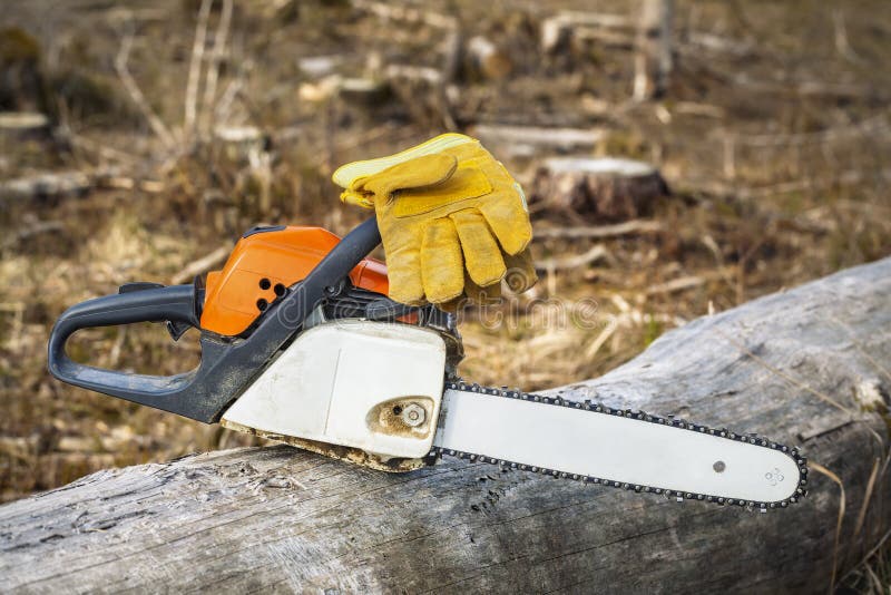 Chainsaw and gloves on tree in destroyed forest