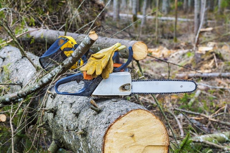 Chainsaw with gloves on tree in destroyed forest