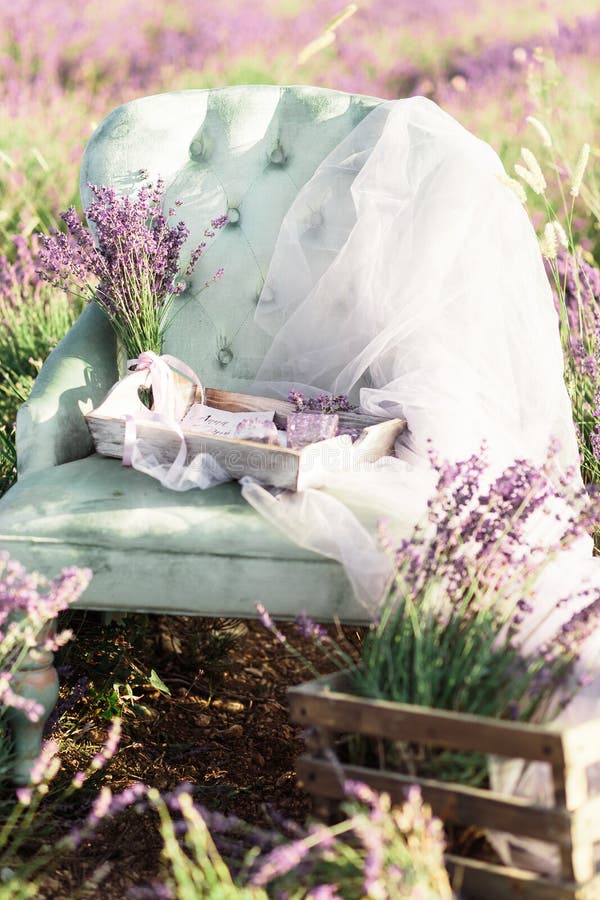 Chair decoration in purpur lavender field on golden sunset royalty free stock images Chair decoration in purpur lavender field on golden sunset royalty free stock images