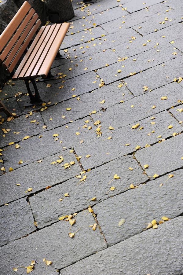 Chair and fallen leaves in autumn