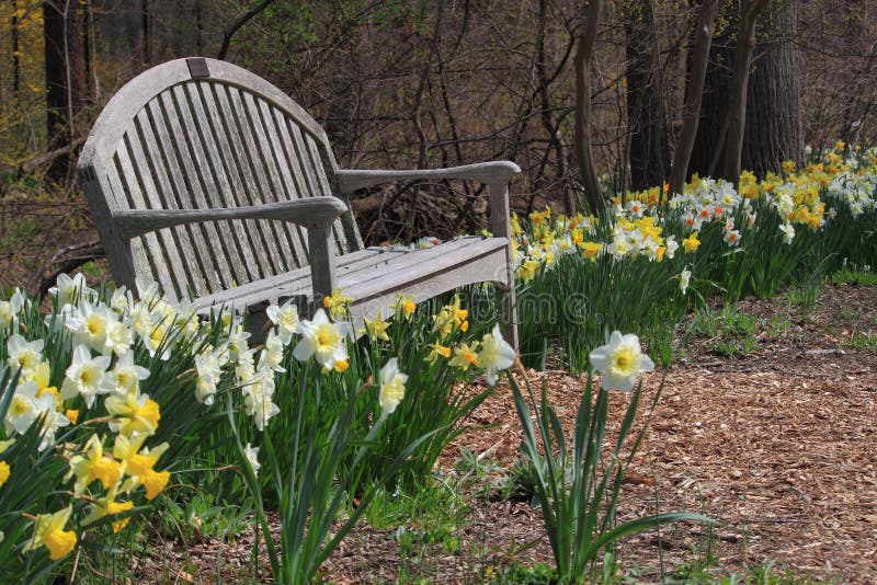 Chair in Flower Garden stock image. Image of forest, flower 39758823