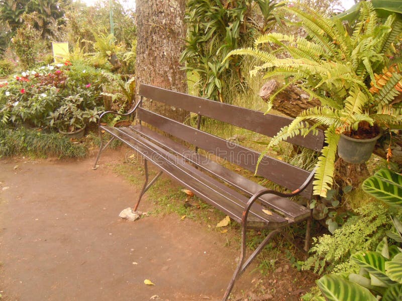 A chair in the garden stock photo. Image of plant, flowers - 48570260