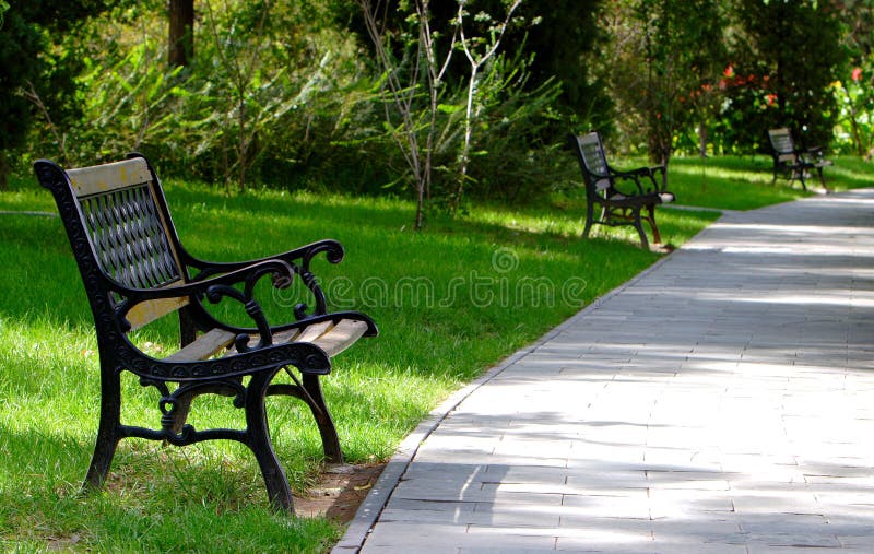 Chair in the park stock photo. Image of chair, flower 3340320