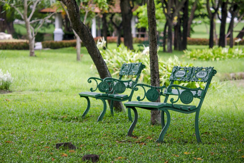 184 Old White Wooden Chair Under Tree Stock Photos Free & Royalty