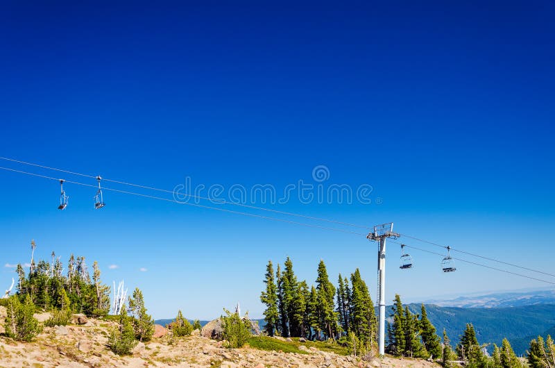 Chairlift and Trees stock image. Image of timberline 32852257