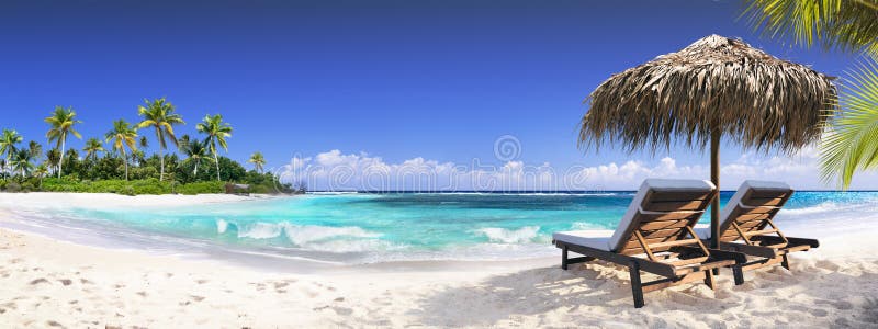 Chairs In Tropical Beach With Palm Trees