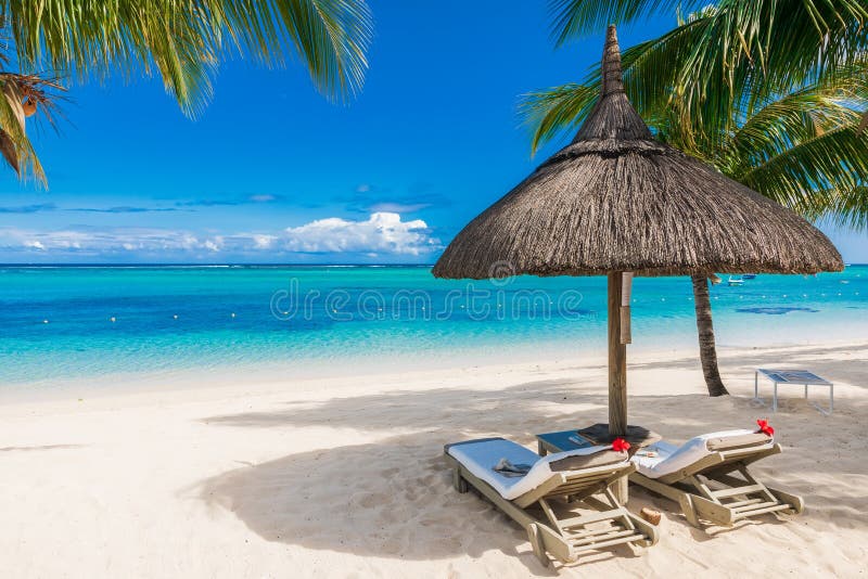 Chairs and umbrella at luxury beach with palms