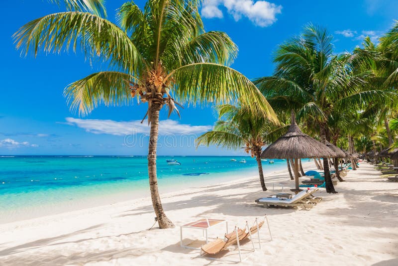 Chairs and umbrella at palm beach - Tropical banner