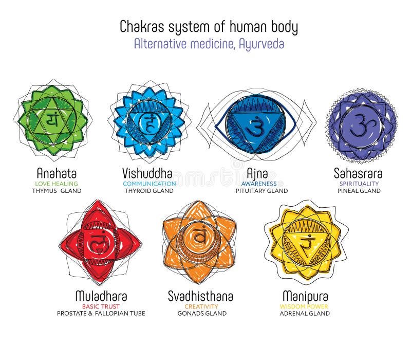 Chakras set of human body -  drawing Sahasrara, Ajna, Vishuddha, Anahata, Manipura, Svadhisthana, Muladhara with text about his glands. Used in alternative medicine - Ayurveda, also in Hinduism. Chakras set of human body -  drawing Sahasrara, Ajna, Vishuddha, Anahata, Manipura, Svadhisthana, Muladhara with text about his glands. Used in alternative medicine - Ayurveda, also in Hinduism