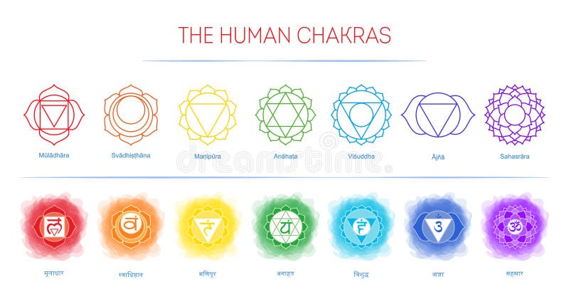 Chakras ha messo: muladhara, swadhisthana, manipura, anahata, vishuddha, ajna, sahasrara Linea simbolo di vettore Il OM firma Cer illustrazione vettoriale Chakras ha messo: muladhara, swadhisthana, manipura, anahata, vishuddha, ajna, sahasrara Linea simbolo di vettore Il OM firma Cer illustrazione vettoriale