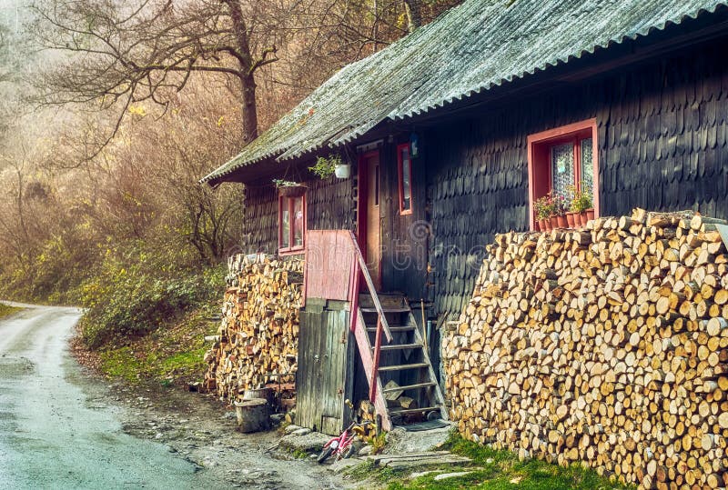 Grosse pile de coupes rondes de bois d'arbre, tronçonneuse électrique  rouge. Les grumes sont sciées à partir des troncs de bouleau empilés dans  une pile. Bois de chauffage de bouleau. Compost s