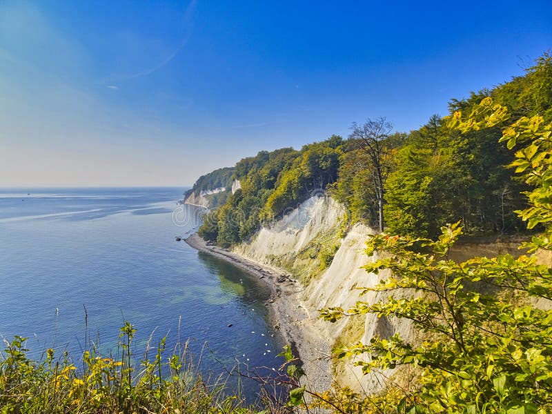 Chalk Cliffs on the Island of Rügen Stock Photo Image of trees