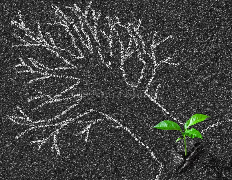 Chalk contour of tree on asphalt road and young growth concept