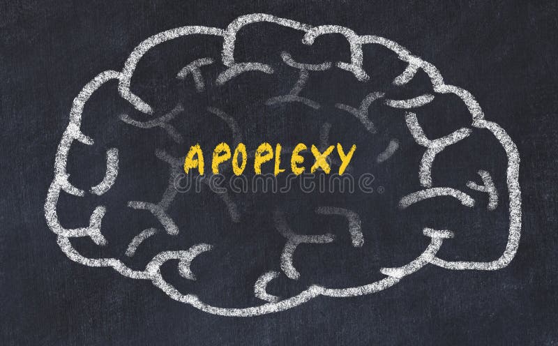 Chalk drawing of human brain with inscription apoplexy stock images