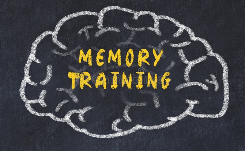 Chalk drawing of human brain with inscription memory training stock photo