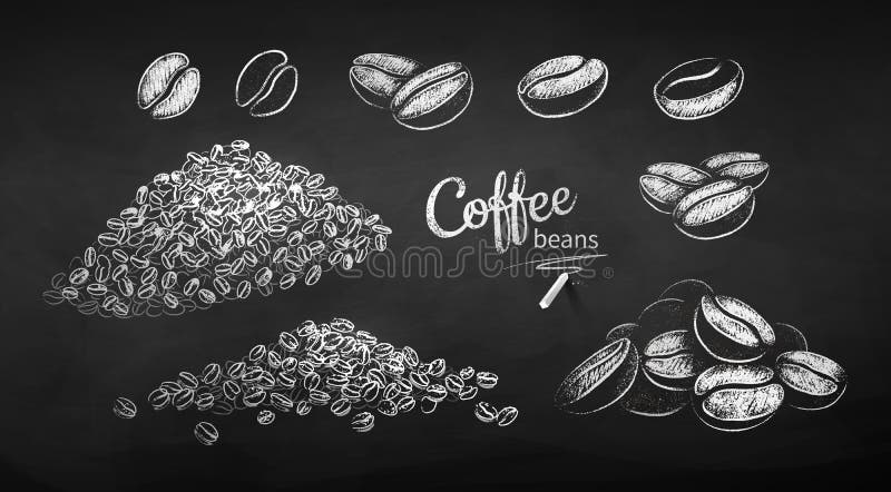 Chalk drawn sketches set of coffee beans