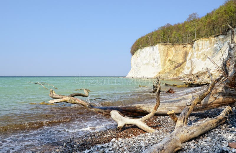Chalk Rock Cliff of Rugen Island Germany in Springtime. Stock Photo
