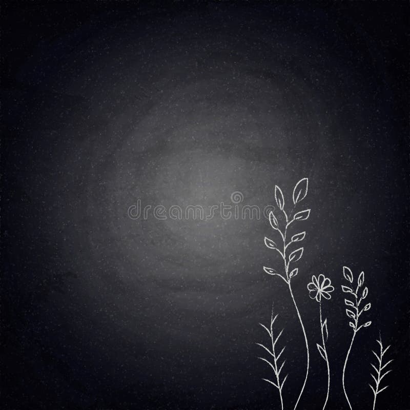 Chalkboard Background with Drawing Plants Stock Illustration