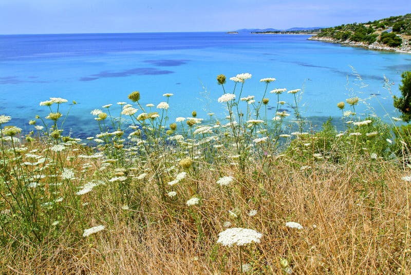 Chalkidiki landscape