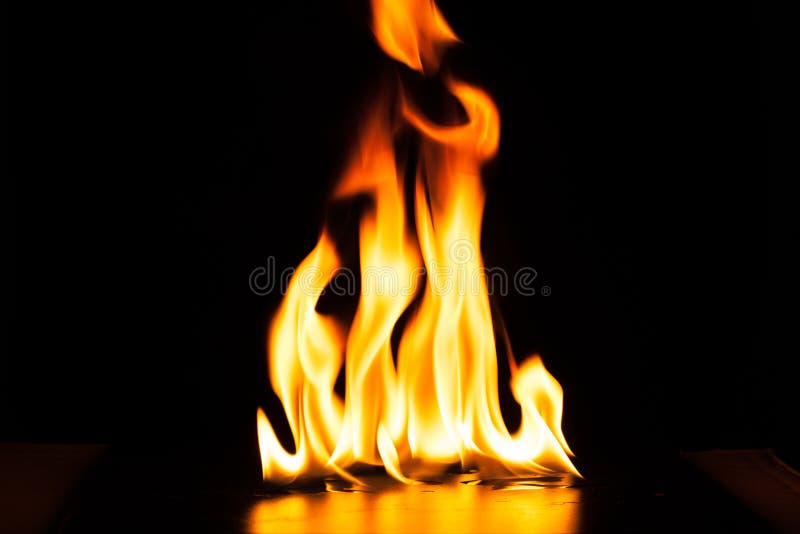 Chama ardente do fogo no fundo preto, Foto Premium