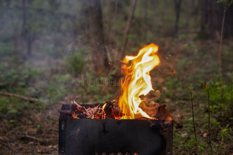 Chama de um fogo em um assado em uma floresta verde fotografia de stock Chama de um fogo em um assado em uma floresta verde fotografia de stock