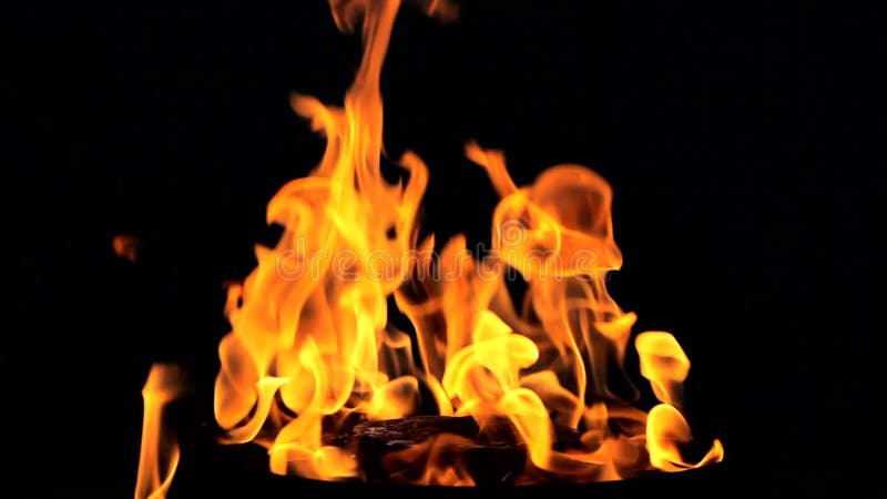 Chama Do Fogo No Fundo Preto Videos De Arquivo Video De Fogo Fundo 37877639