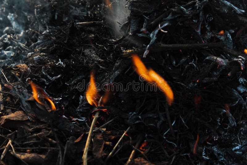 Fogo na água imagem de stock. Imagem de chama, nave, incandescer