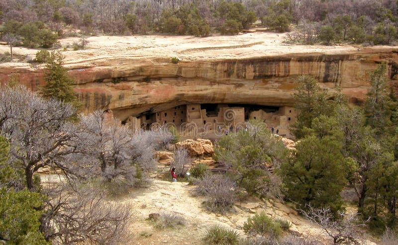 Chambre d'arbre impeccable au MESA Verde photos stock Chambre d'arbre impeccable au MESA Verde photos stock