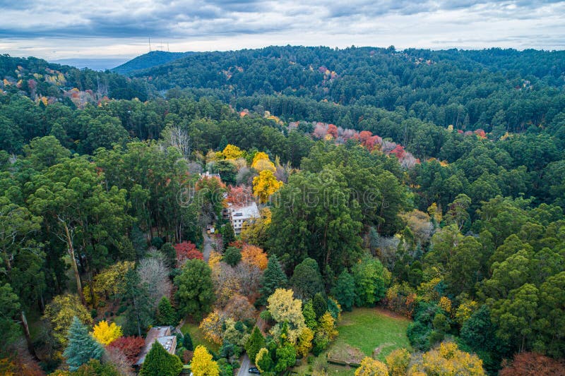 Chambres parmi le feuillage luxuriant en automne photographie stock Chambres parmi le feuillage luxuriant en automne photographie stock