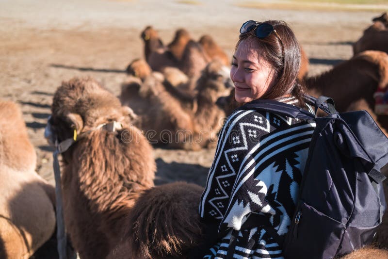 Chameau de touristes asiatique d'équitation de femme dans le désert de Hunder, Inde de Ladakh images stock Chameau de touristes asiatique d'équitation de femme dans le désert de Hunder, Inde de Ladakh images stock