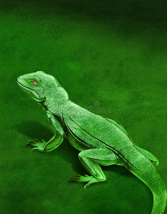 Chameleon royalty free illustration