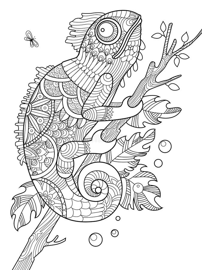 Chameleon Coloring Book for Adults Vector Stock Vector