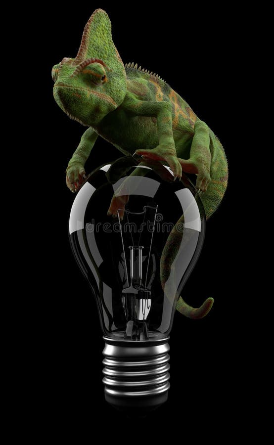 chameleon bulbs