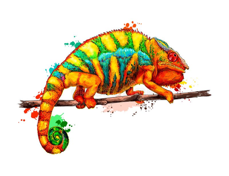 wallpapers Rainbow Chameleon Easy Drawing For Kids With Colour dreamstime com