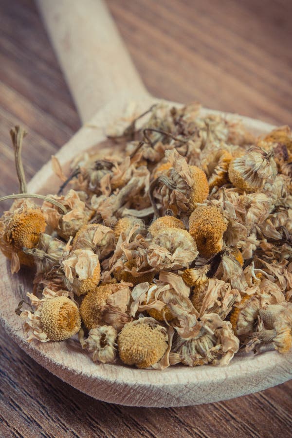 Chamomile As Herb Using in Alternative Medicine. Source Vitamins and Minerals Stock Photo