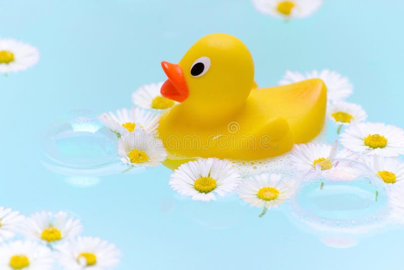 Chamomile Bath with Soap Bubbles, a Duck and Flowers Stock Photo