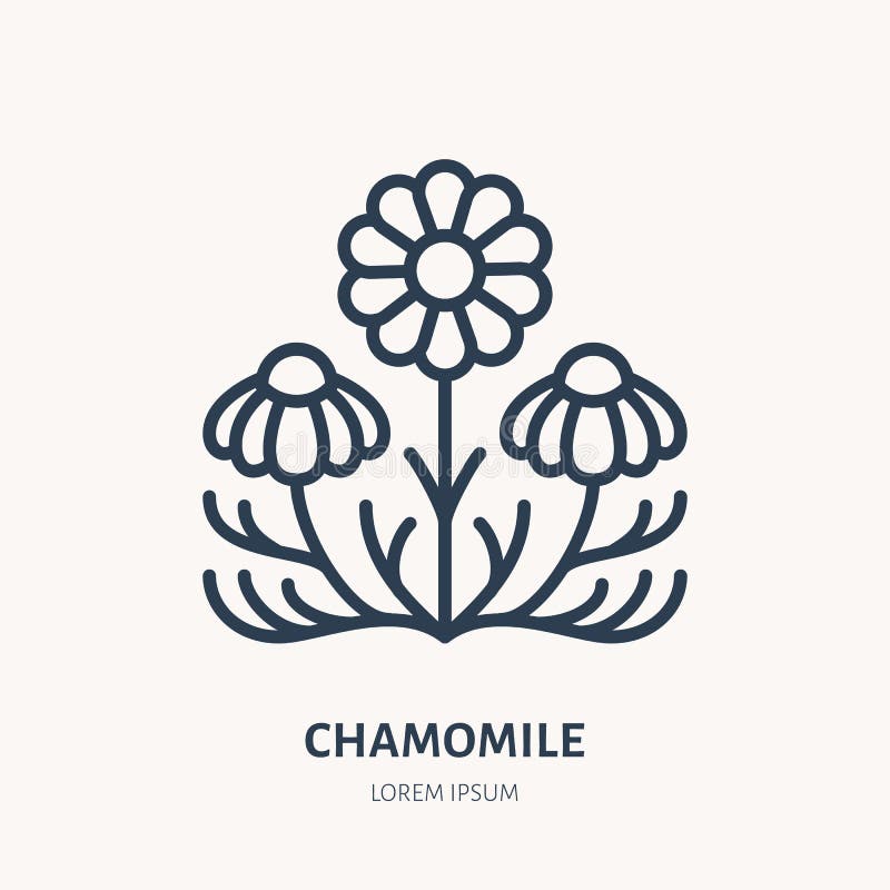 Daisy Chain PNG  daisychainflowers daisychaindance daisychainfun  daisychaingifts daisychaingames daisychaintechnology daisychainpageborders  daisychainprintables daisychainframes daisychainposters daisychainlinks  daisychain 