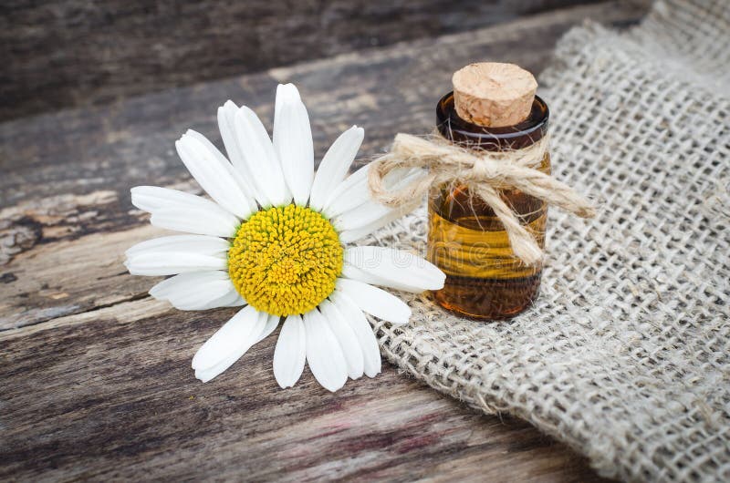 Chamomile flower essential oil.