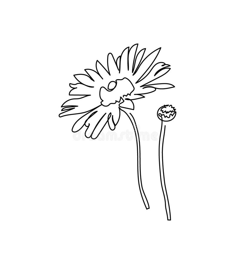 Daisy Doodle Royalty-Free Images, Stock Photos & Pictures