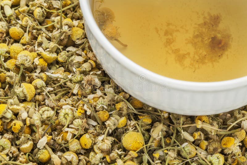 Chamomile herbal tea royalty free stock photos