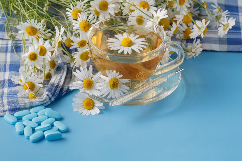 Chamomile Herbal Tea in a Cup, Pills and Thermometer Stock Photo