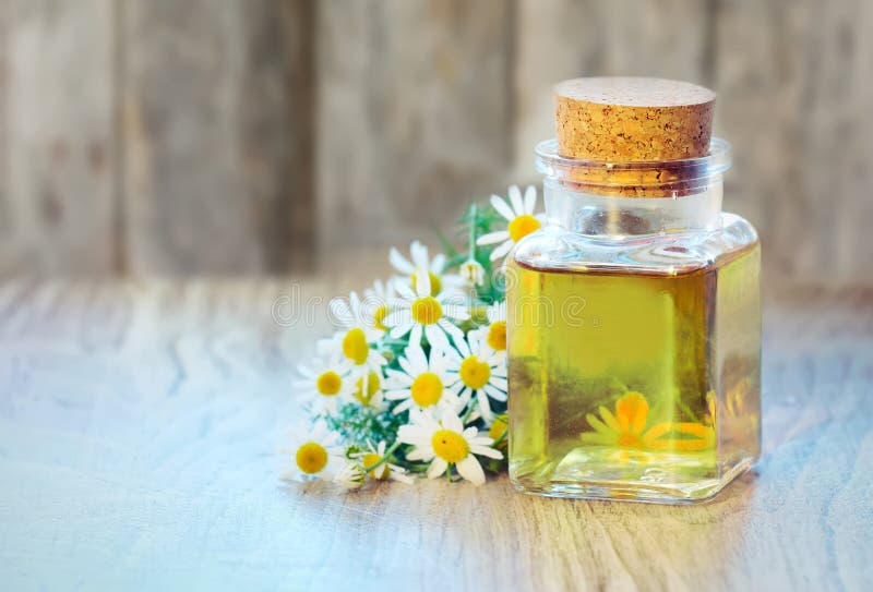Chamomile oil bottle with flowers on wooden background. stock images Chamomile oil bottle with flowers on wooden background. stock images