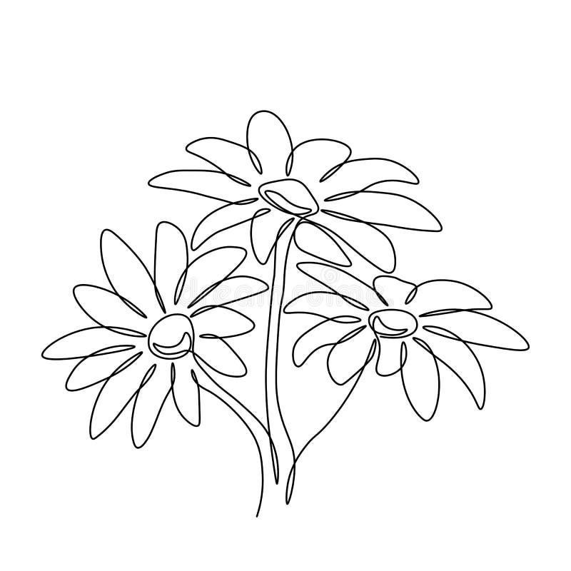 Chamomile One Line Drawing. Continuous Line Flower. Hand-drawn ...