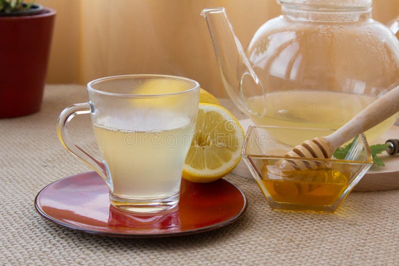 ChamomileTarragon Infusion Tea Set Stock Photo Image of step, teacup