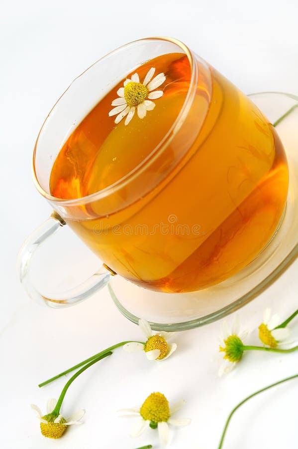 Chamomile tea stock photo. Image of medicine, flower 10206042
