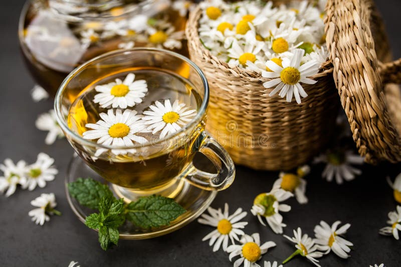 Cup of chamomile tea stock image. Image of herbal, flowers 107332713