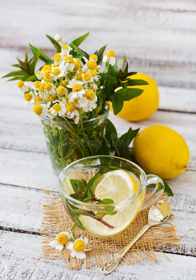 benefits of chamomile mint tea benefits of chamomile mint tea